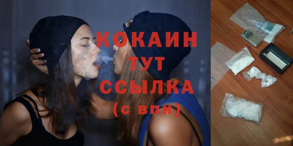 стаф Балахна