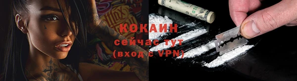 стаф Балахна